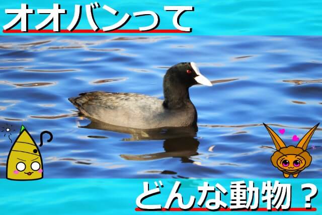 Thumbnail of post image 175